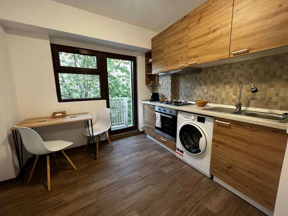 Central Studio Appartement Boekarest Buitenkant foto